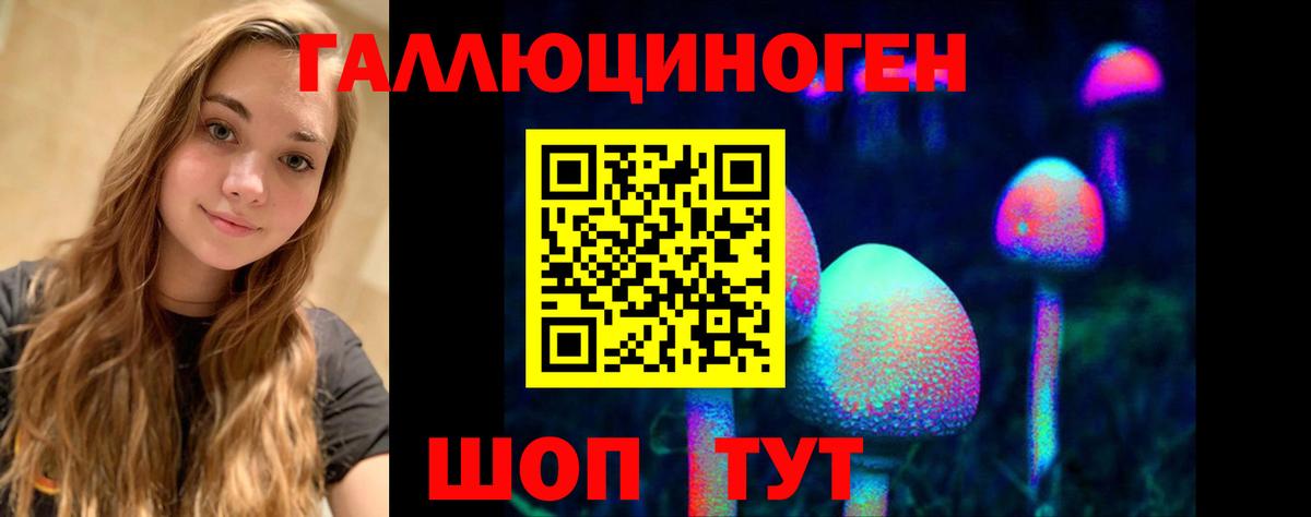 Псилоцибиновые грибы Psilocybine cubensis Гусь-Хрустальный